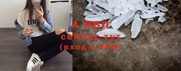крисы Армянск