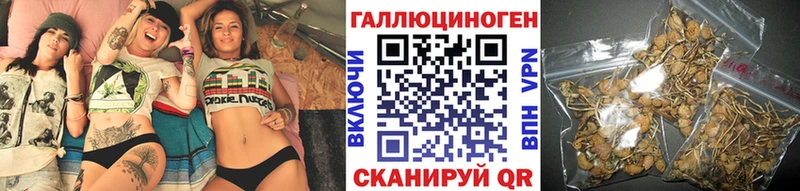 Купить где  Усинск  Псилоцибиновые грибы Cubensis 